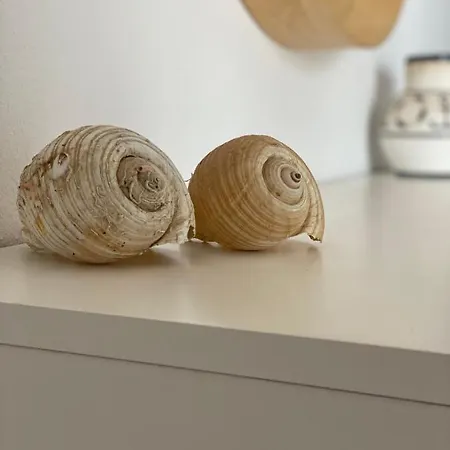 Sea View Anastasia بيت للعطل